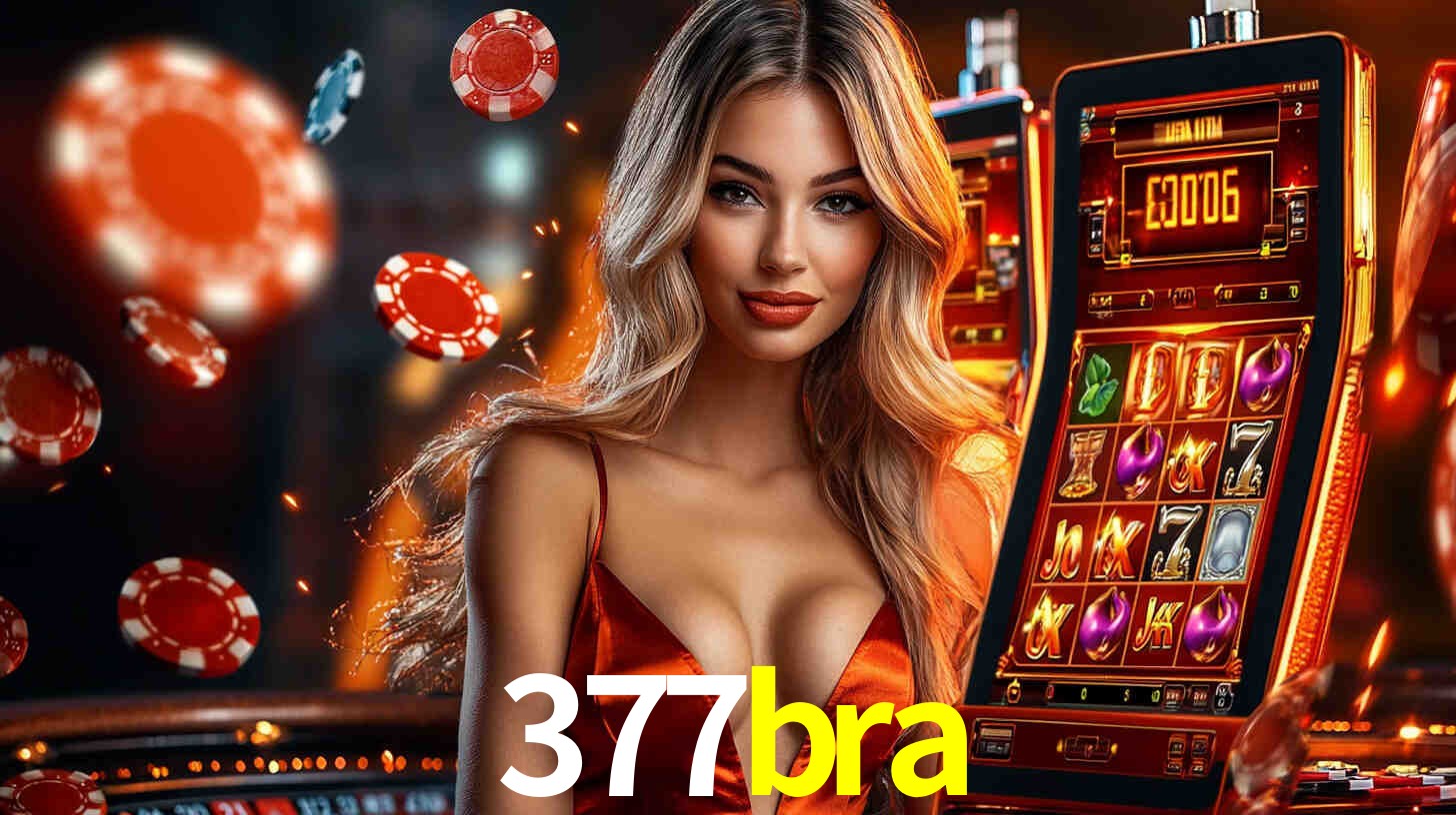 377bra com