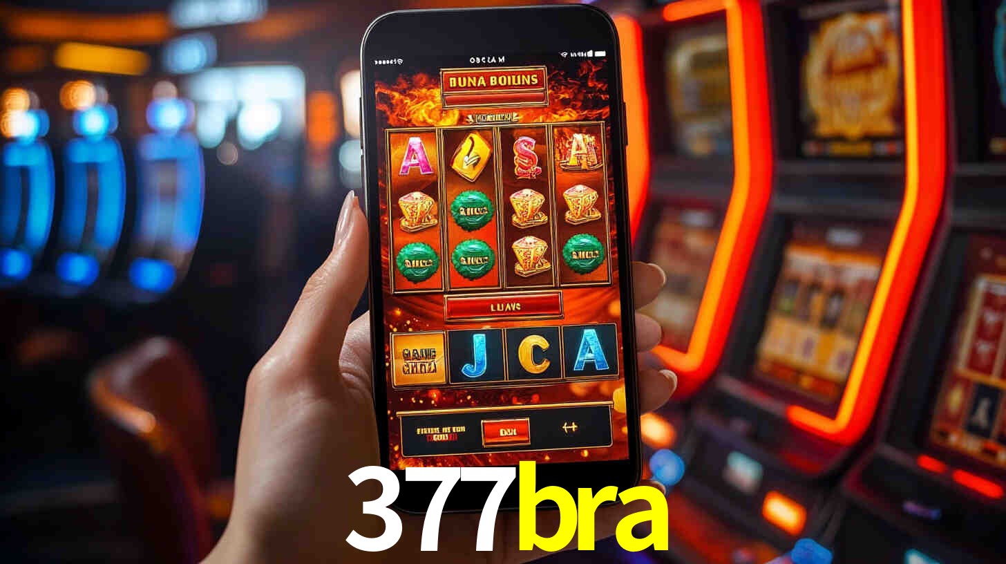 377bra,377bra.com
