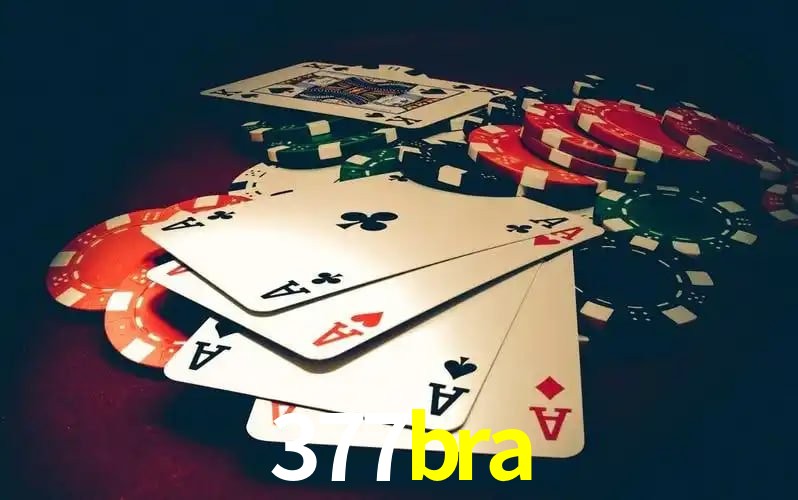 cassino 377bra