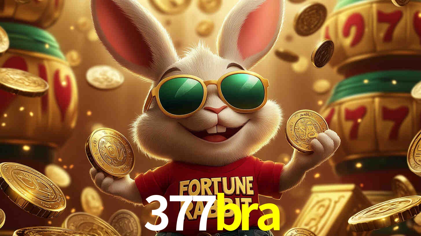 377bra com