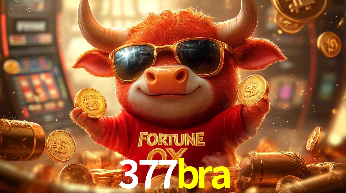 377bra,377bra.com