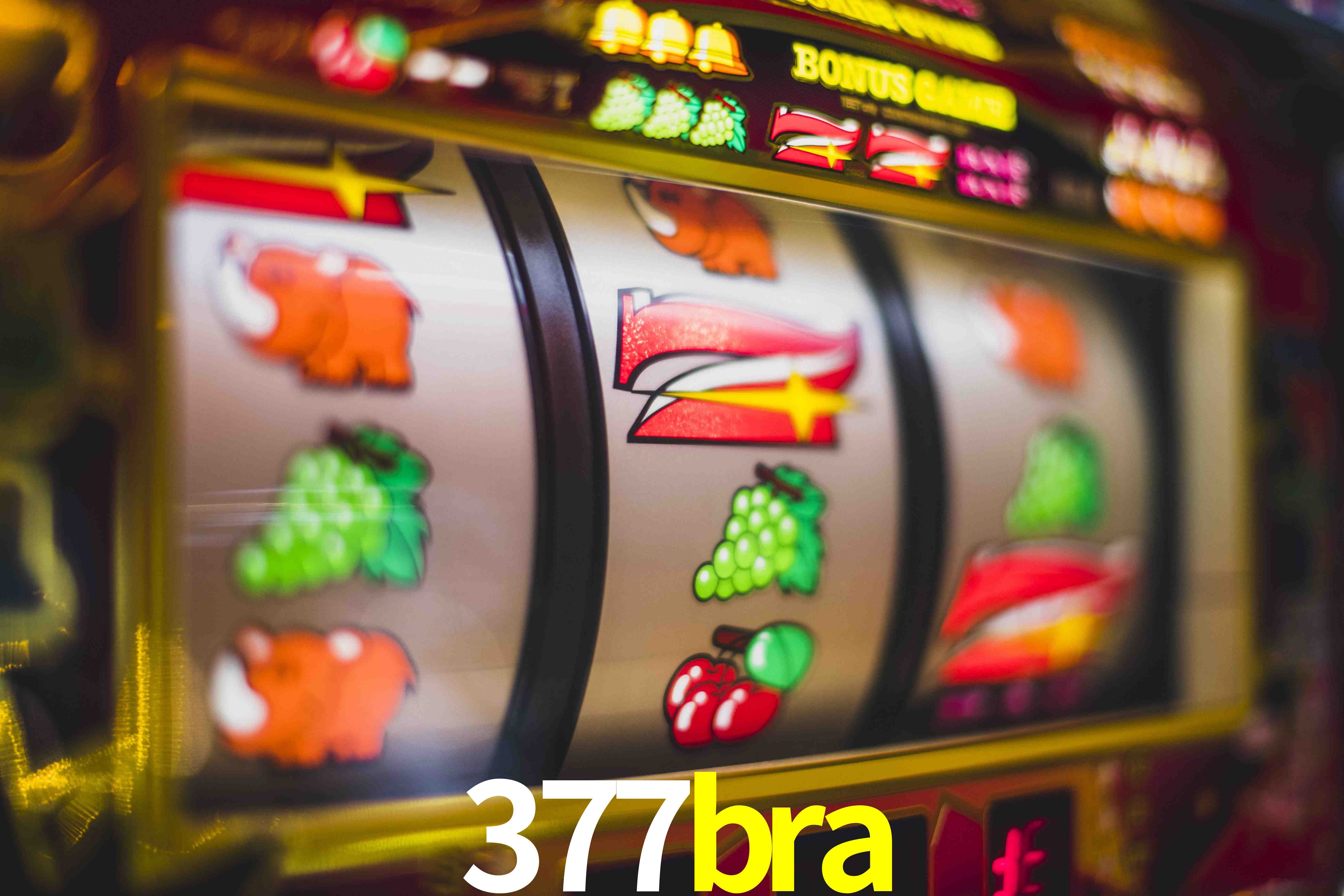 Basketball Betting 377bra